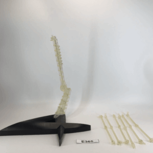 3037 gundam Pla model