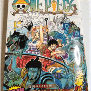 4423 ONE PIECE book