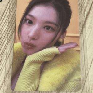 4966 photo card  ( ¥480 )