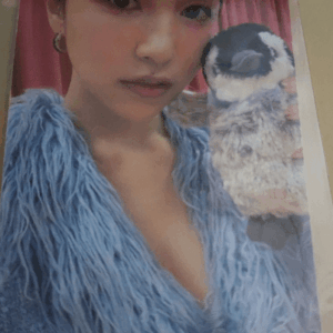 5128 photo card. ( ¥700 )