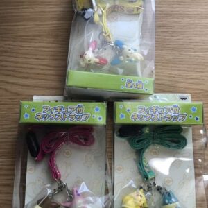 16565 key holder pokemon