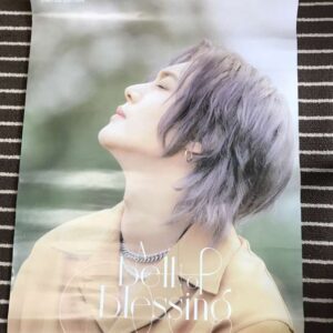 16447  Poster kin hyun