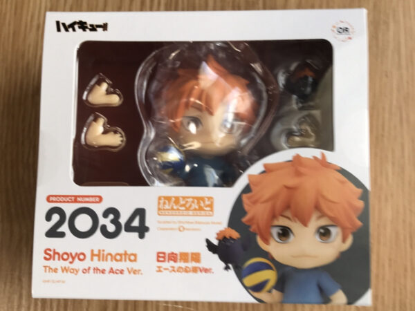 18889 Figure shoyo