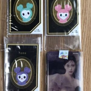 21100 Photo card set