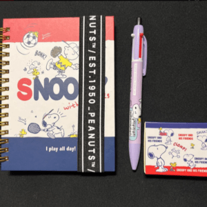 29144 memo set