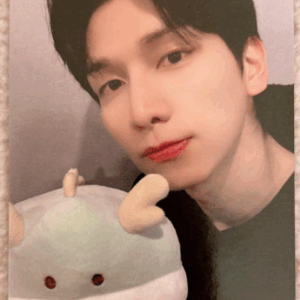   Articulos Japan (Post Box Japan)