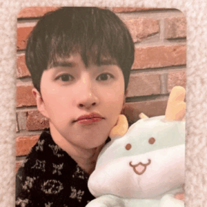 37909 photo card
