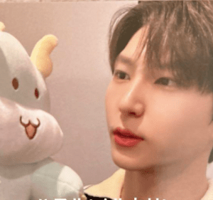   Articulos Japan (Post Box Japan)