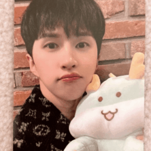   Articulos Japan (Post Box Japan)