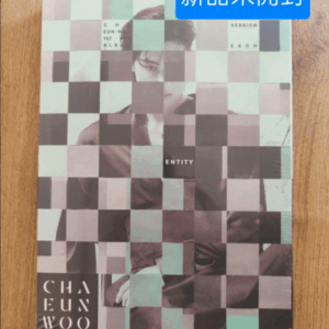 43126 チャウヌCHAEUNWOO ENTITY EACH VERSION