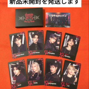 43165 Stray Kids dominATE JAPAN Photo Card Set
