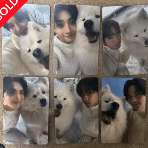 44249 photo card