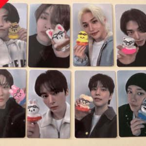 45428  photo card