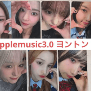 46380 photo card