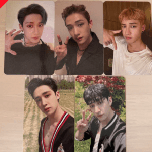 46993 photo card