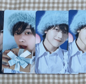 47318  photo card