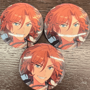 47869 badge set