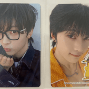 48113  photo card