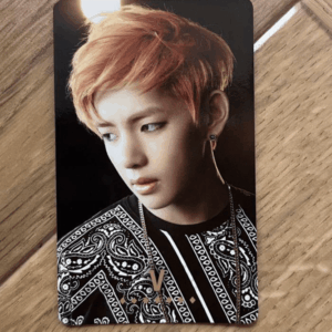48496  photo card