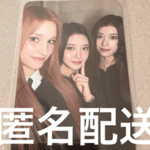 48613 photocard