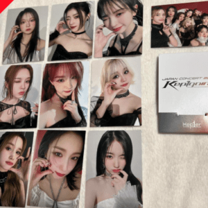 49074 photo card