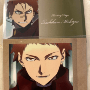 49288 card