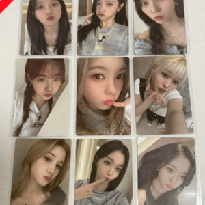 49331  phto card