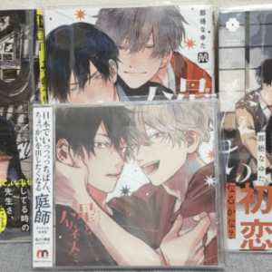 49631 book