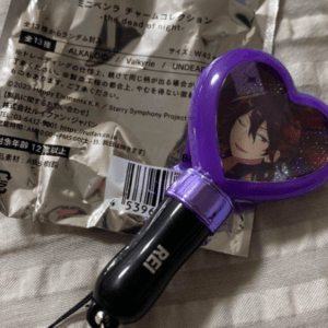 49995 key holder