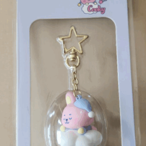 50931 key holder
