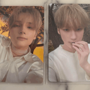 51245  photo card