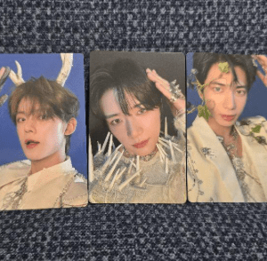 54496 photo card
