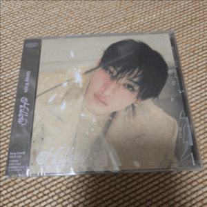 56092 Stray Kids Album hollow