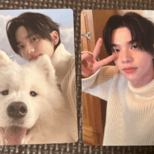 57293 photo card