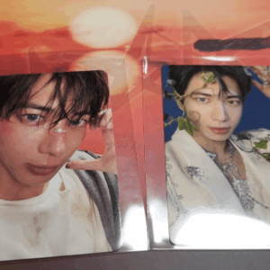   Articulos Japan (Post Box Japan)