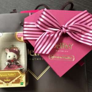 59497 sylvanian familles set