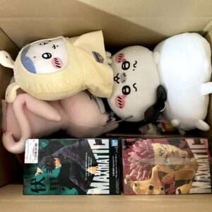 Sylvanian Families Set