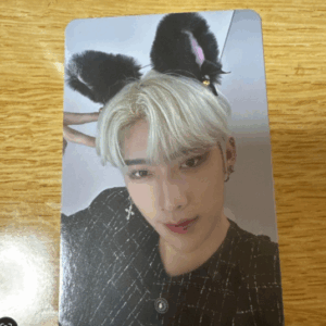60723  photo card