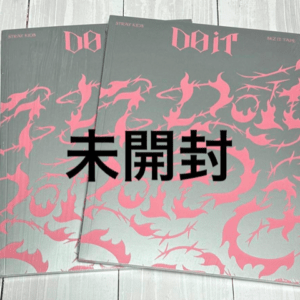 67421 StrayKids DO IT Regular Edition Album (2 volumes)