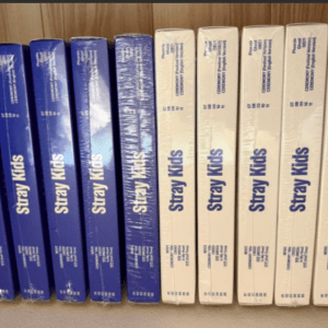 67435 Stray Kids KARMA Regular Edition New Unopened 10 CDs