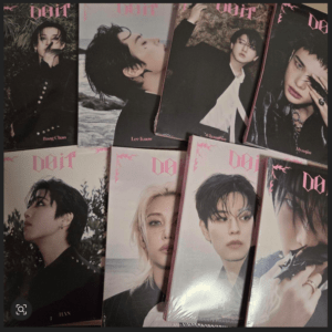 67603 DO IT Accordion Straykids 8-disc set