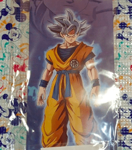 67634 PS5 Dragon Ball Sparking! ZERO Poster Logo Flight Tag