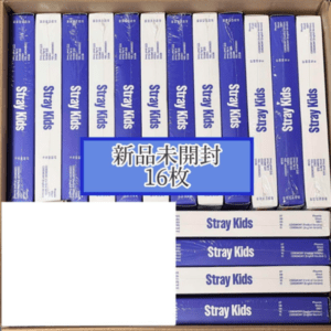 67747 StrayKids KARMA Album Regular Edition Unopened Set