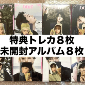 67883 Stray Kids SKZ Fans Yonton Trading Card Doit SKZ