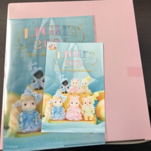 66360 sylvanian Families doll set