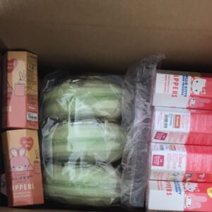 67162 Figure sonny angel set