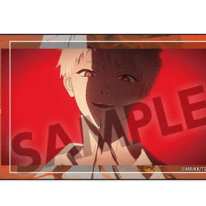 65574 Pegatina Hikaru A