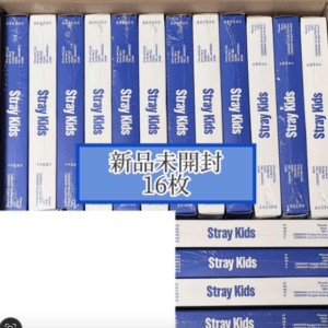 67261 StrayKids KARMA Album