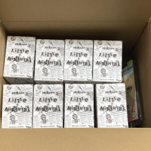 70299 Figure hirono set