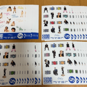 71166 Pegatinas KARMA de Stray Kids (40 hojas)(mercari)